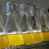 Algae Flasks at VIMS Eastern Shore Laboratory's shellfish hatchery
